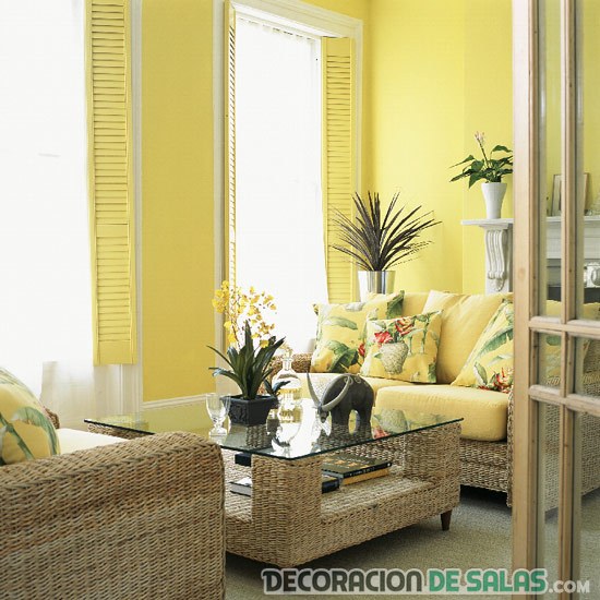 salón amarillo con plantas