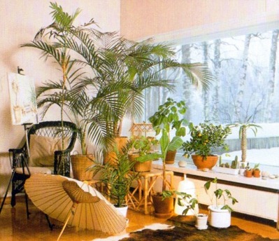 plantas en el salón